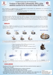 Ecvim poster 2015